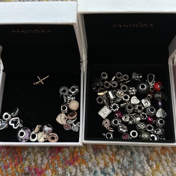 Meet your Posher, Suzanne - Picture 7 of 13